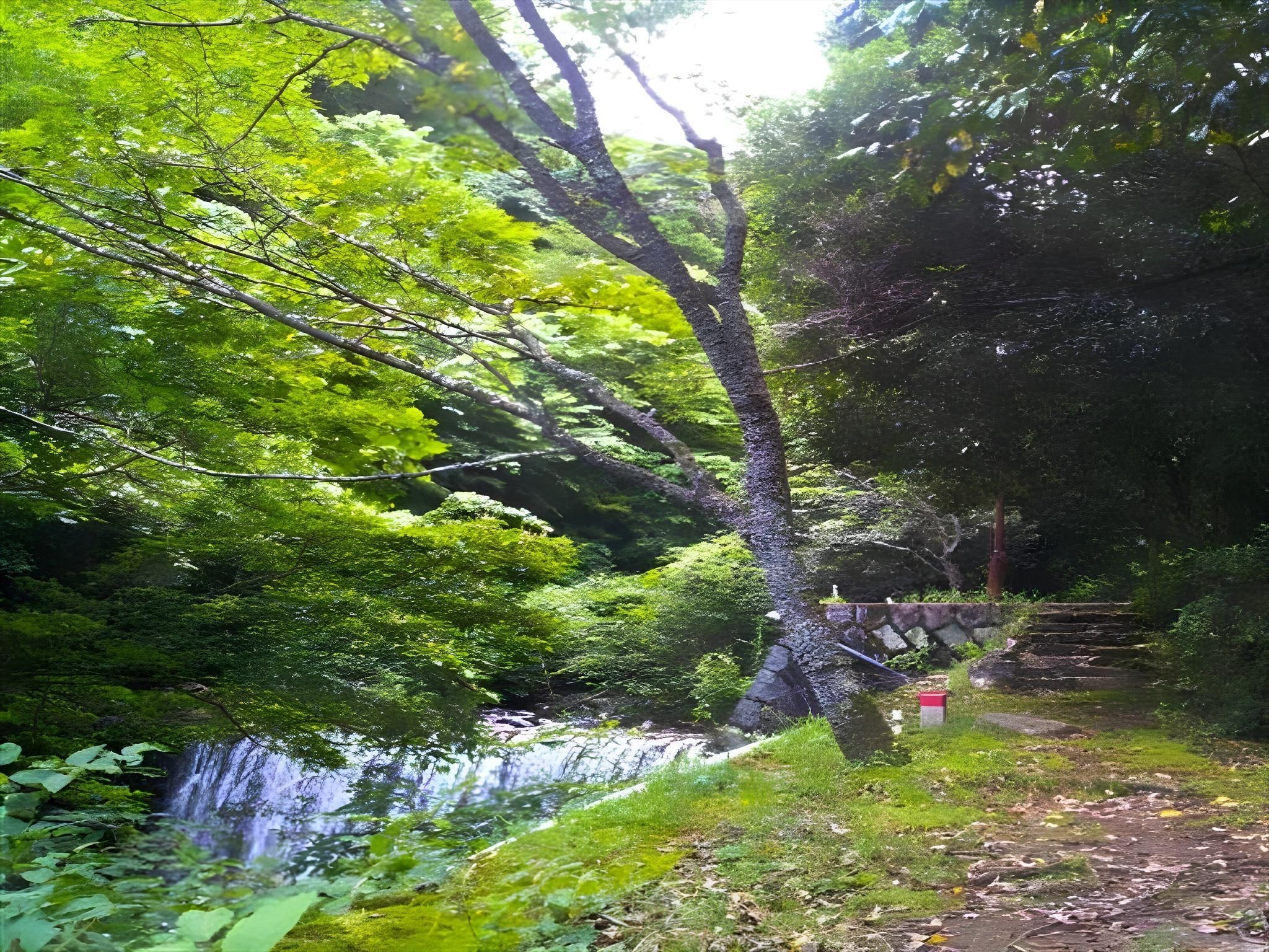 Outdoor view