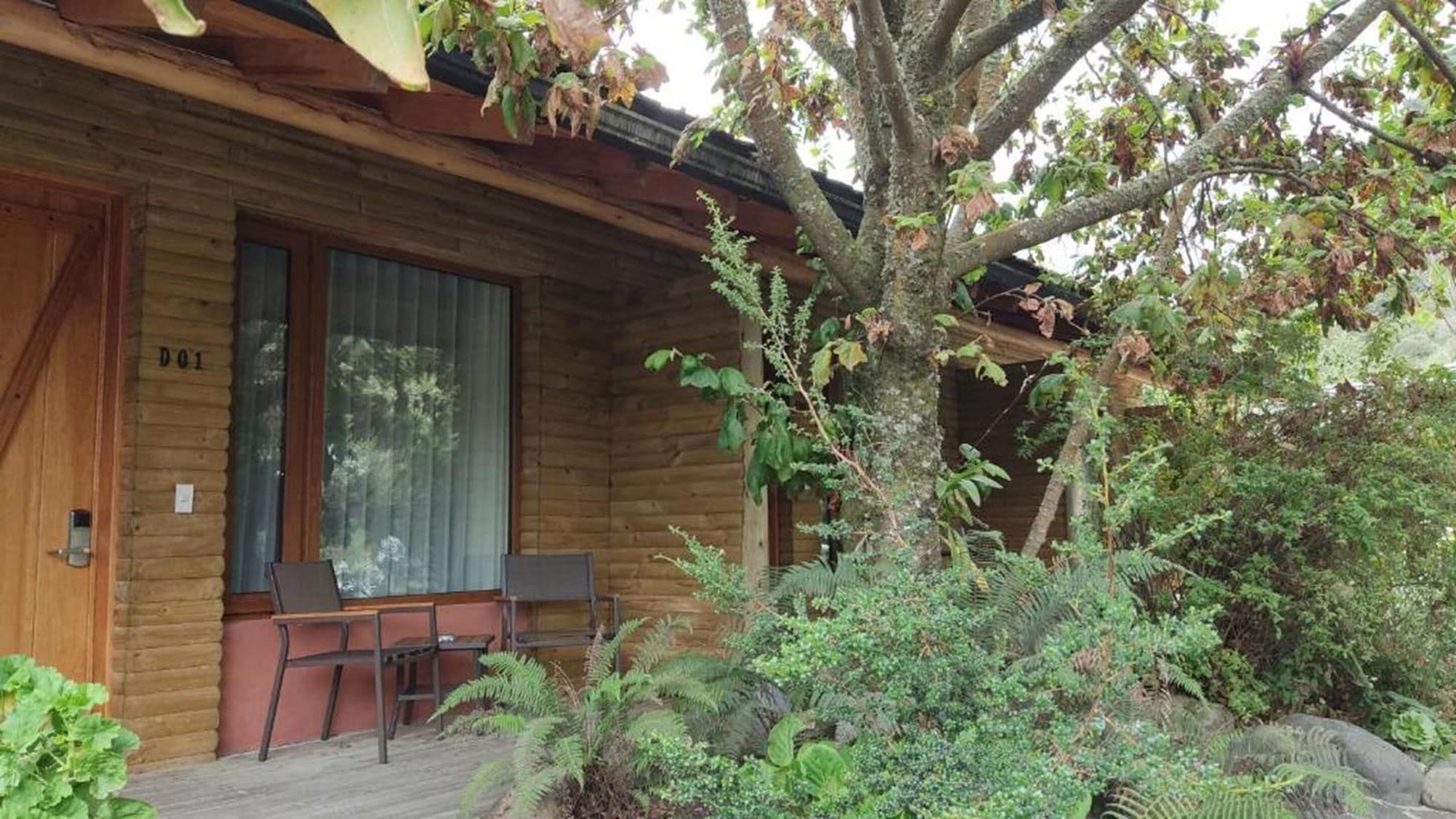 Outdoor view