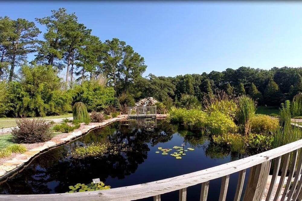 Outdoor view