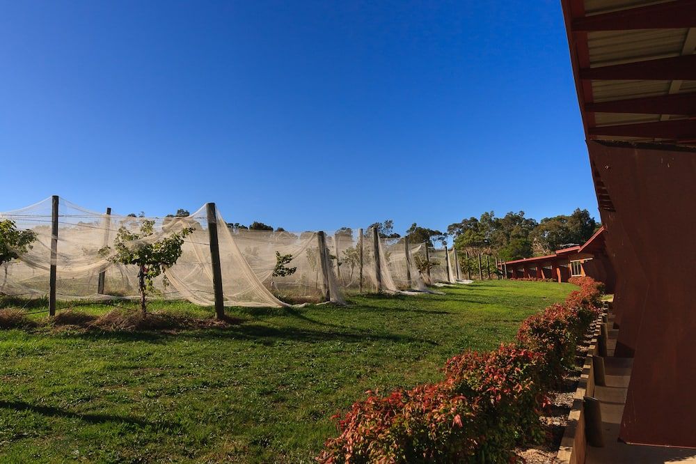 Outdoor view