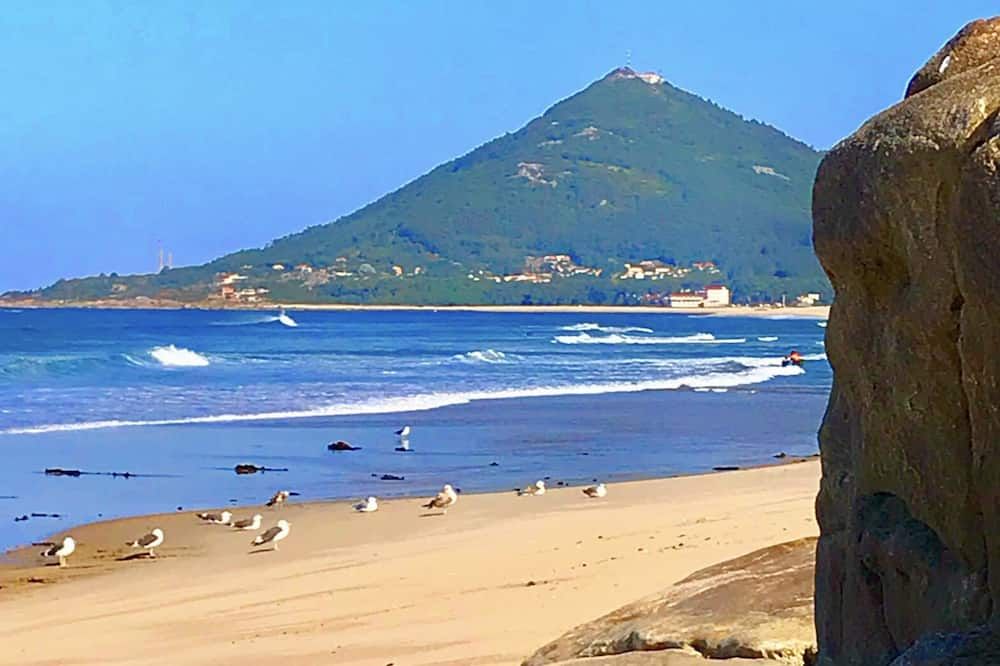 Beach Photo