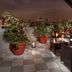 Hotel amenity