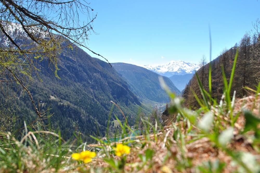 Outdoor view