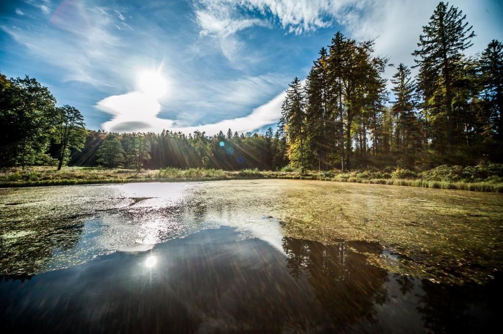 Outdoor view