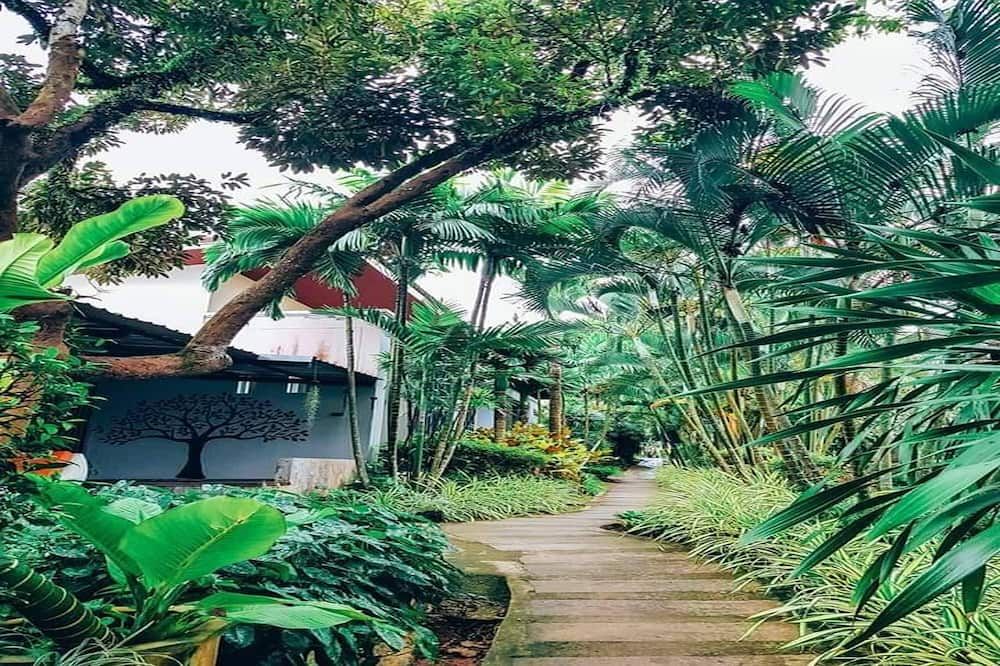 Outdoor view