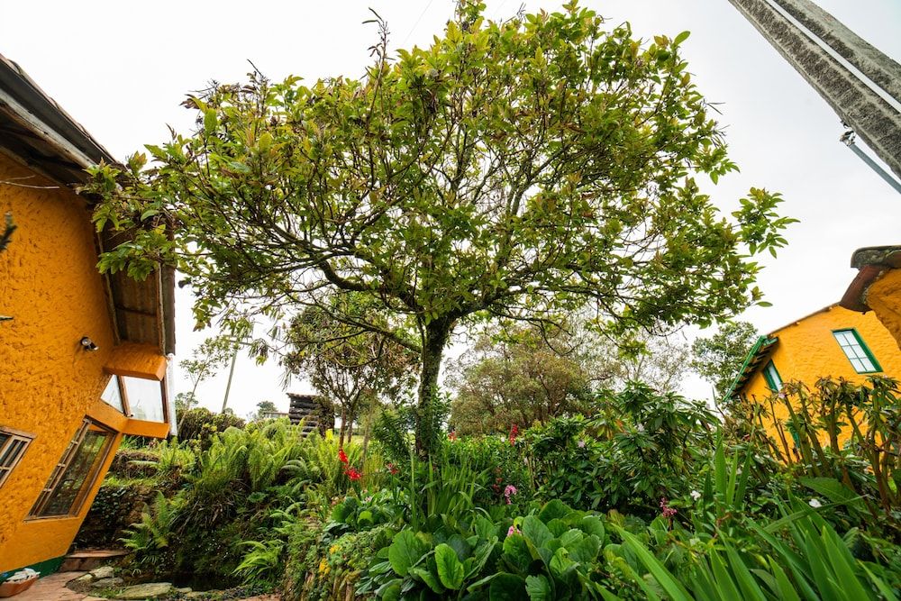 Outdoor view