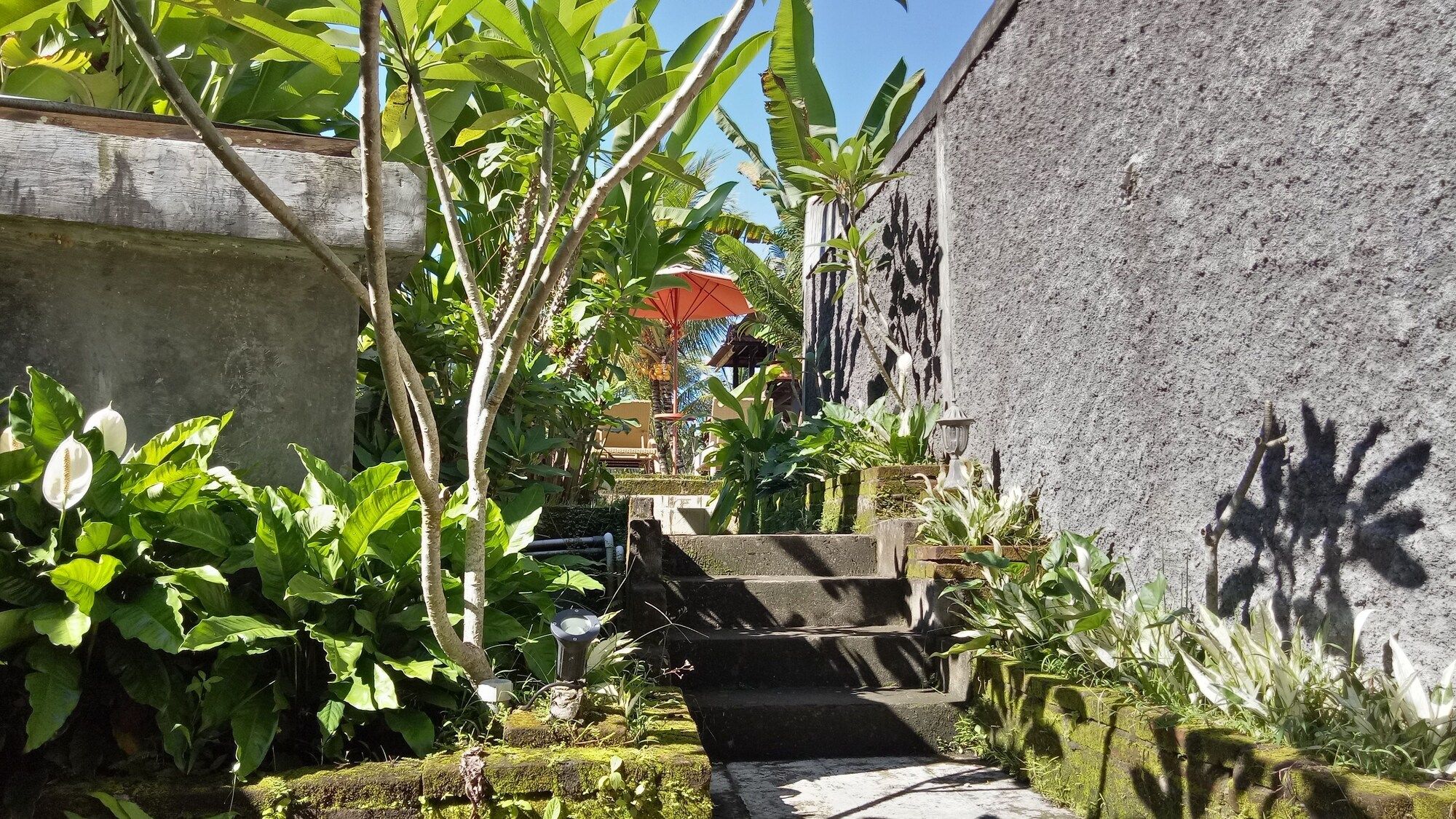 Outdoor view