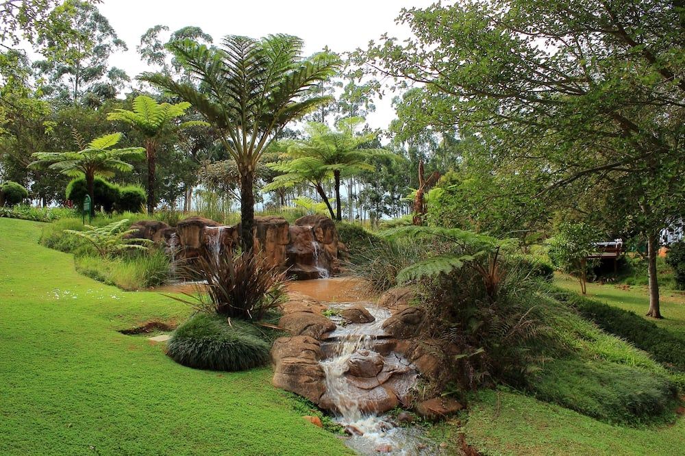 Outdoor view