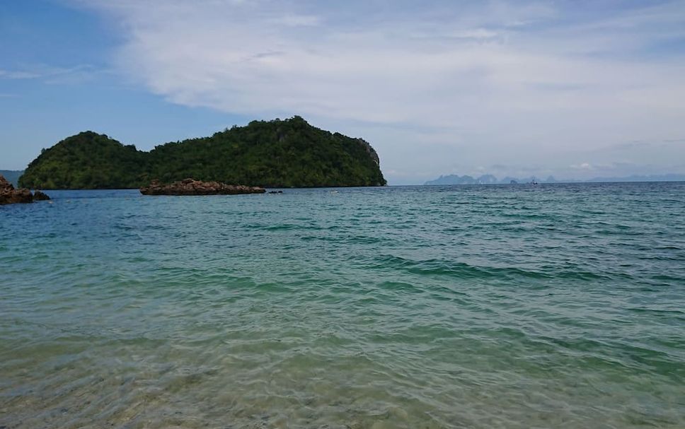 Other Photo