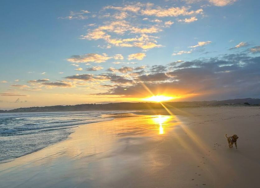 Beach Photo