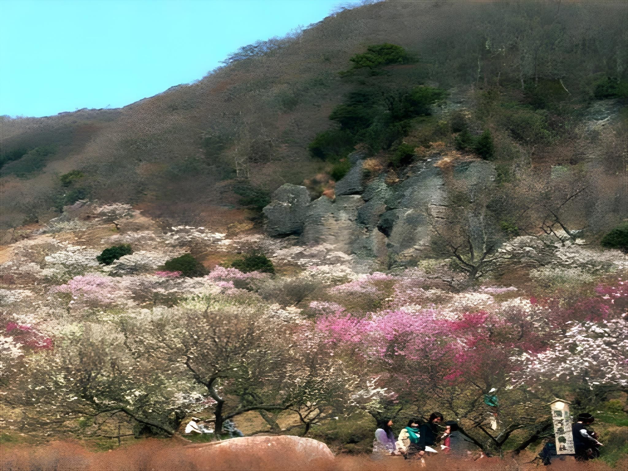 Outdoor view
