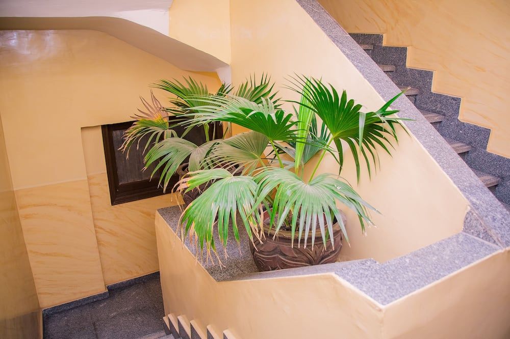 Stairs