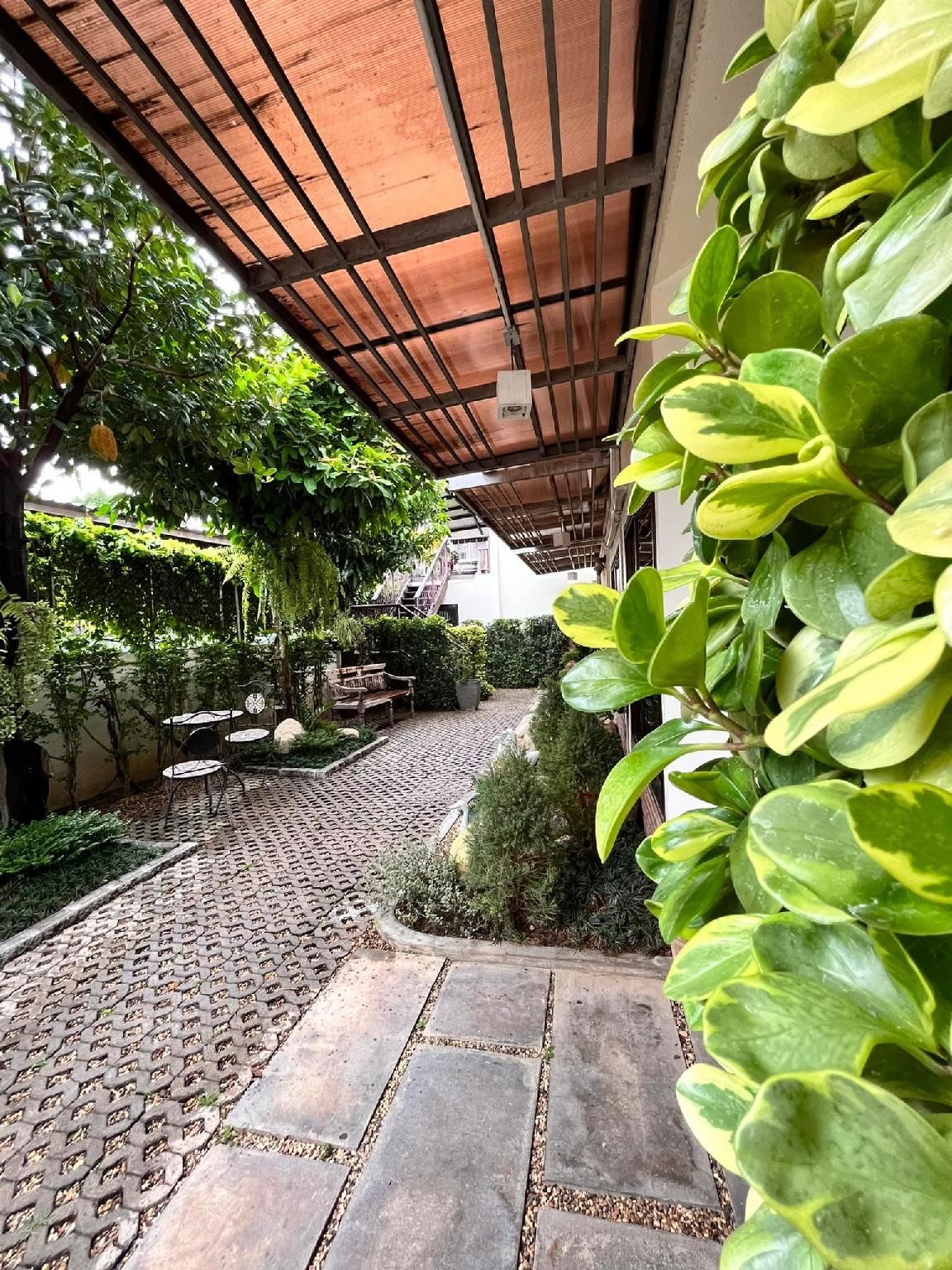 Outdoor view