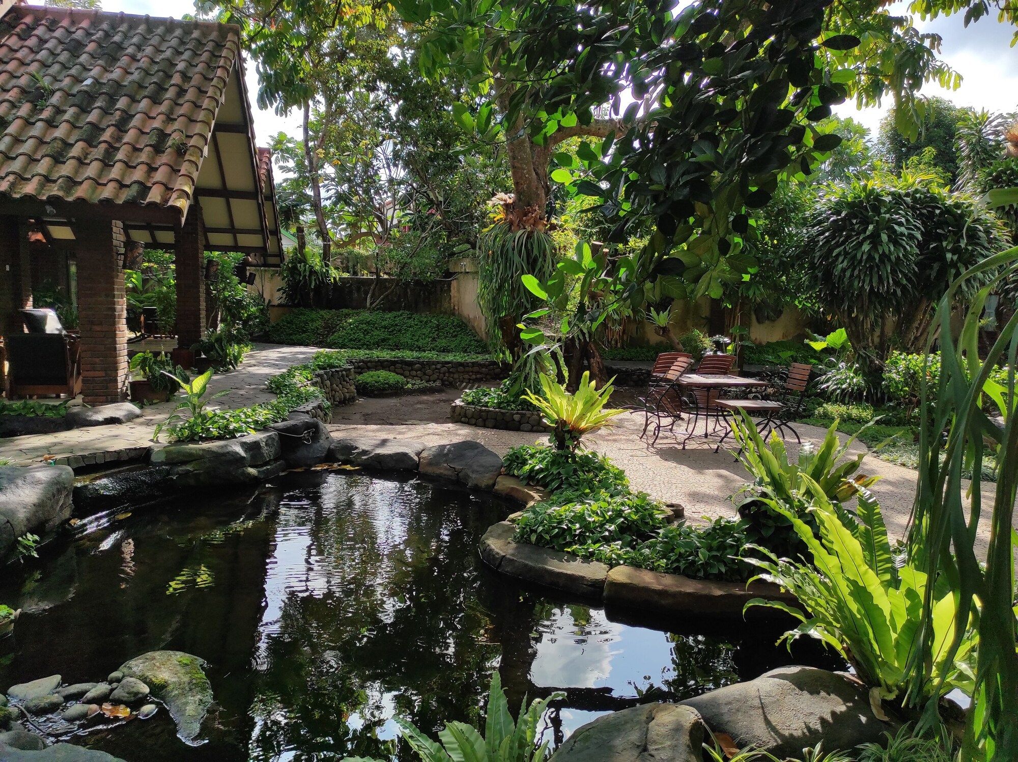 Outdoor view