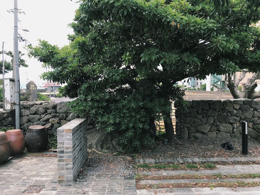 Outdoor view