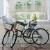 Hotel amenity