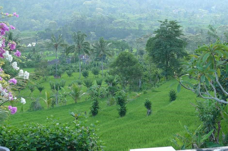 Outdoor view
