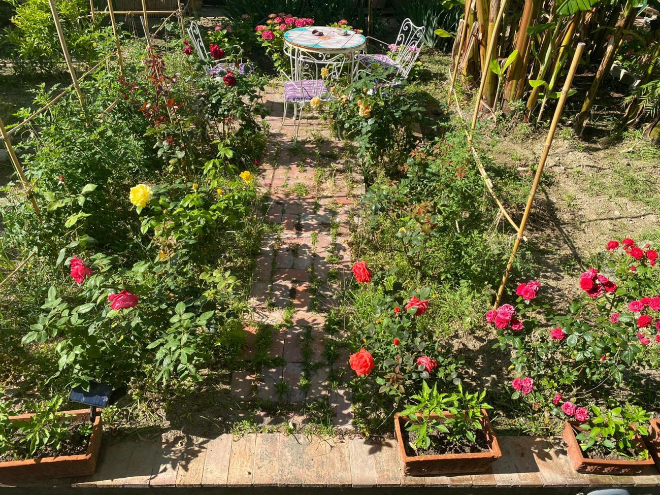 Outdoor view