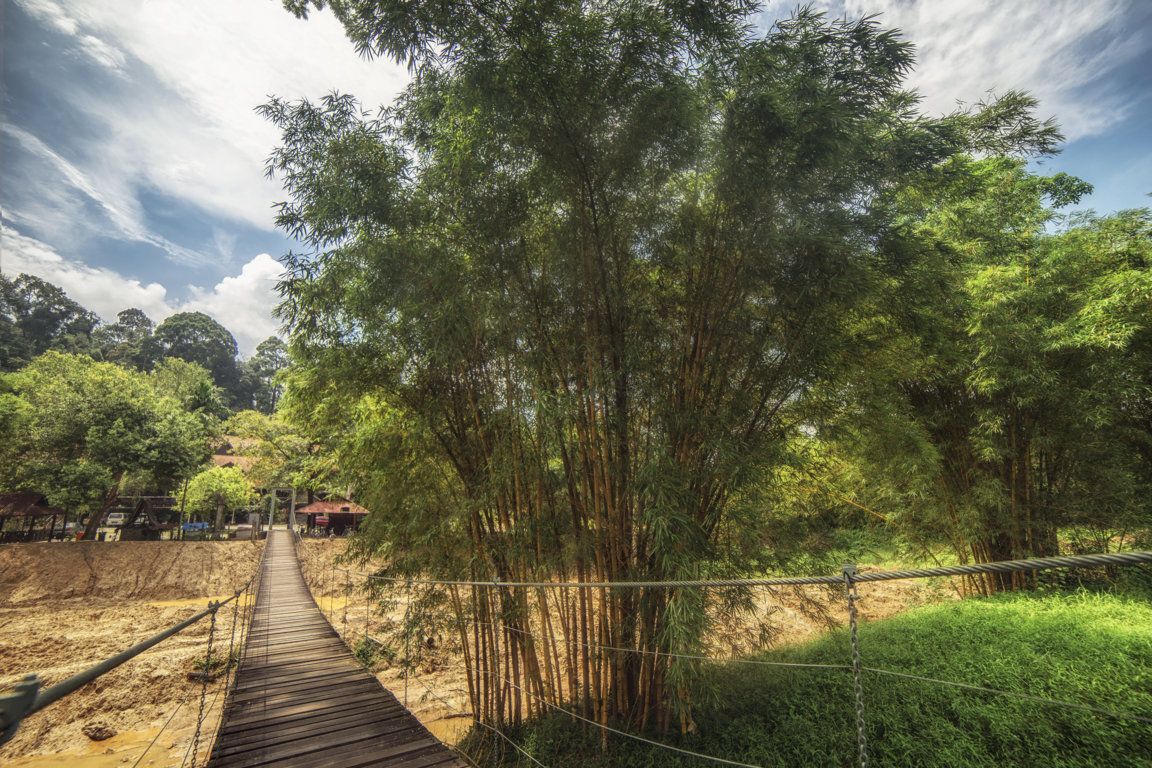 Outdoor view